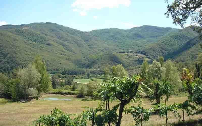 Morra Villa Il Corniolo المظهر الخارجي الصورة